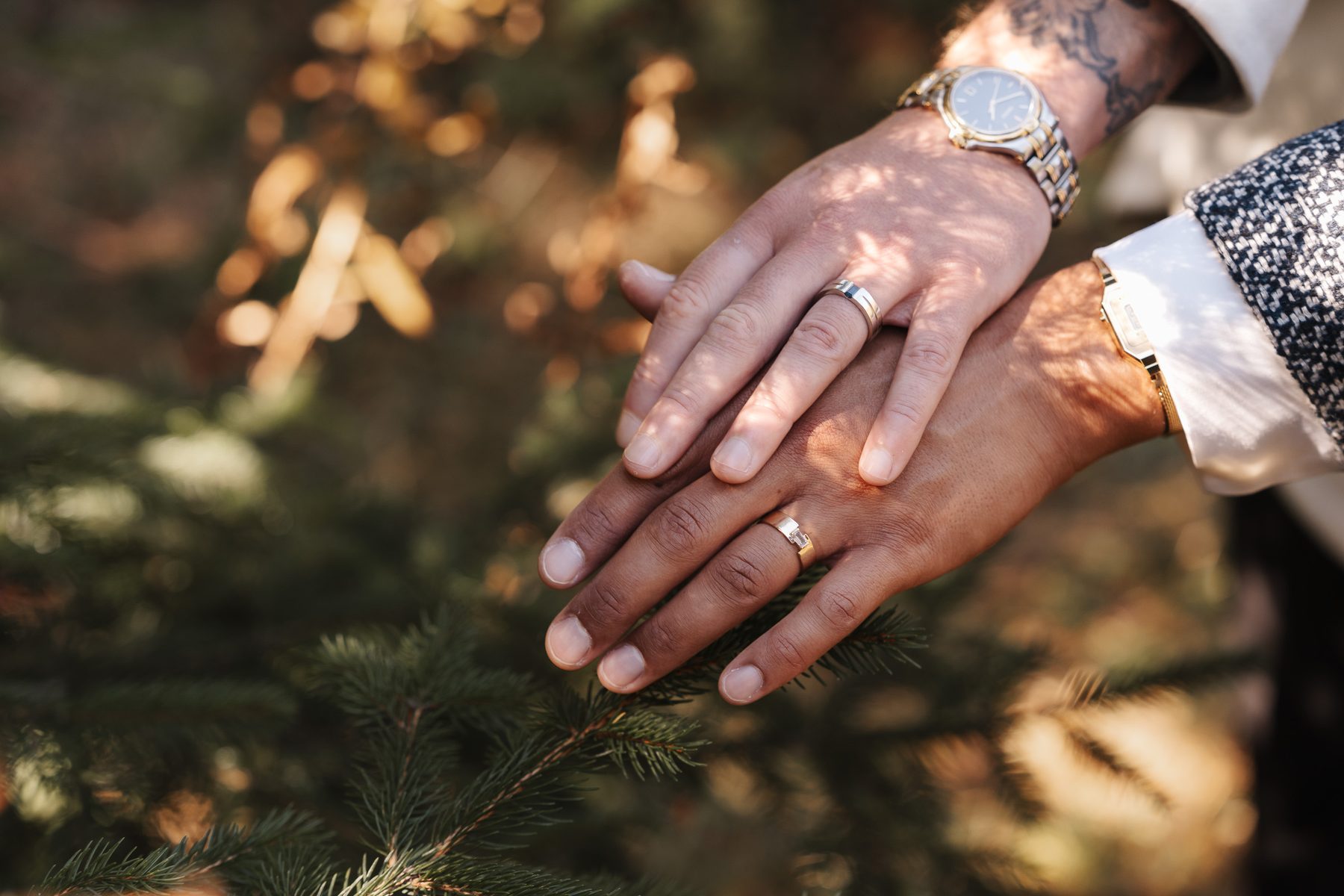 Hands with wedding rings above fir branches